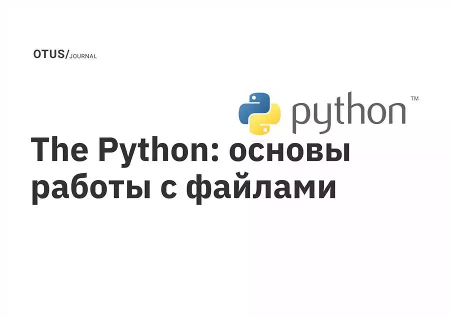 Файловая Система И Основы Языка Python