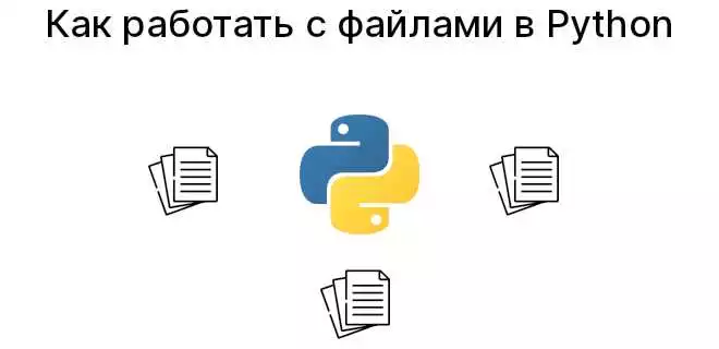 Основы Языка Python